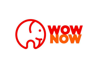 Translation & Communication Intern